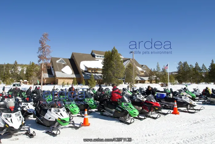 : Snowmobile rally at Old Faithful : Snowmobile rally at Old Faithful