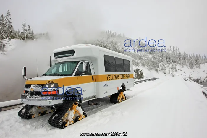 : Snowmobile - in snow : Snowmobile - in snow