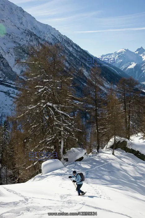 : Snowshoeing in winter landscape in the Loetschental : Snowshoeing in winter landscape in the Loetschental