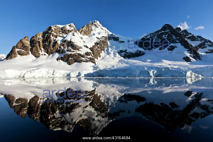  : Snowy Artic mountains mirror in the sea