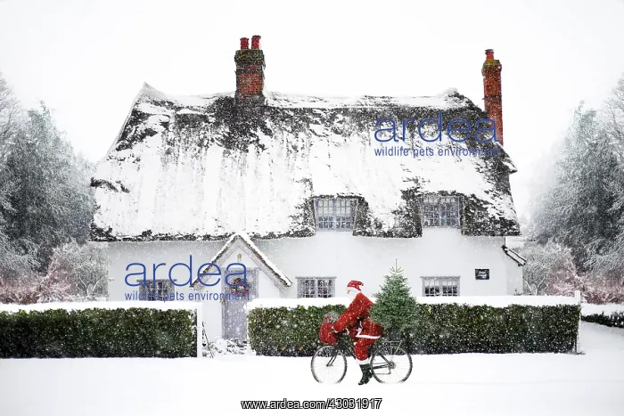  : snowy cottage santa claus