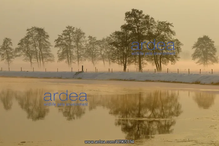 : snowy landscape with ditch : snowy landscape with ditch