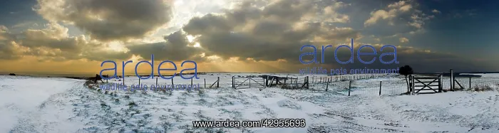 : Snowy landscape under a sunburst sky : Snowy landscape under a sunburst sky