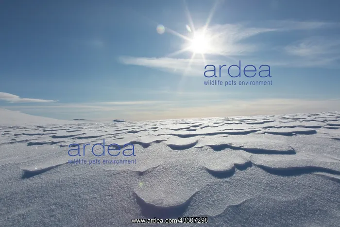  : Snowy mountain landscape - Dovrefjell-Sunndalsfjella