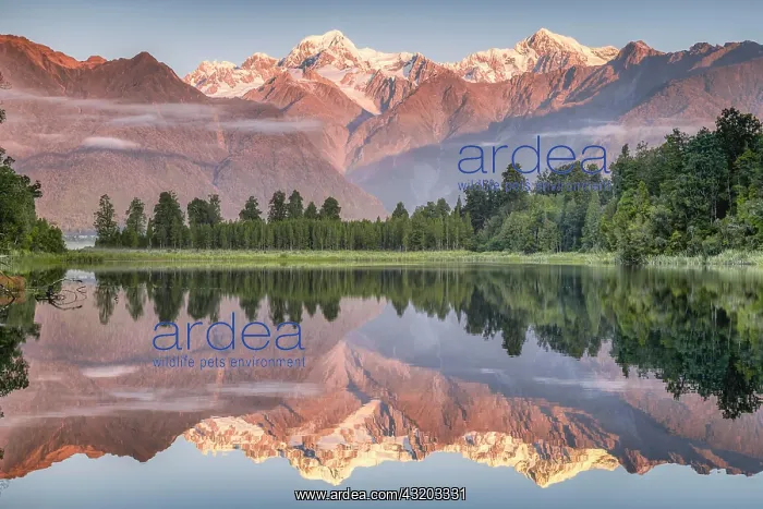 : Snowy mountain peaks of Mount Cook and Mount Tasman : Snowy mountain peaks of Mount Cook and Mount Tasman