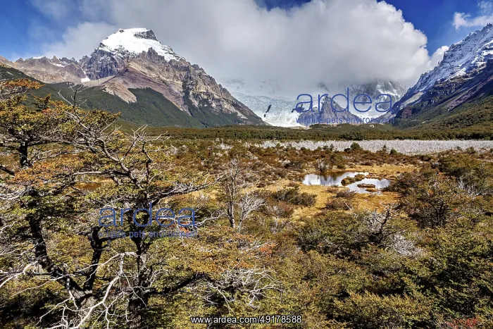 : Snowy mountain scenery with wild foreland : Snowy mountain scenery with wild foreland