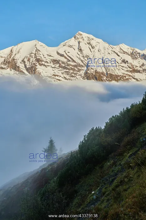 : Snowy Mountains above the clouds at Hochalpenstraie : Snowy Mountains above the clouds at Hochalpenstraie