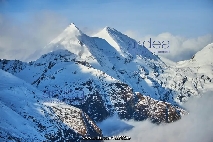 : Snowy Mountains above the clouds at Hochalpenstraie : Snowy Mountains above the clouds at Hochalpenstraie