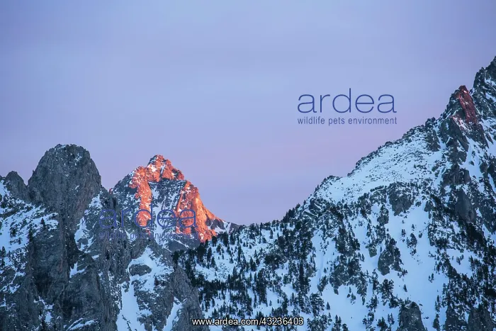  : Snowy Mountains illuminated by the sun