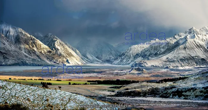 : Snowy mountains in Rangitata River Valley, Ashburton : Snowy mountains in Rangitata River Valley, Ashburton