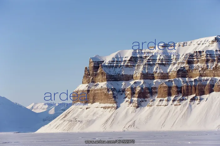 : Snowy mountains at Spitsbergen : Snowy mountains at Spitsbergen