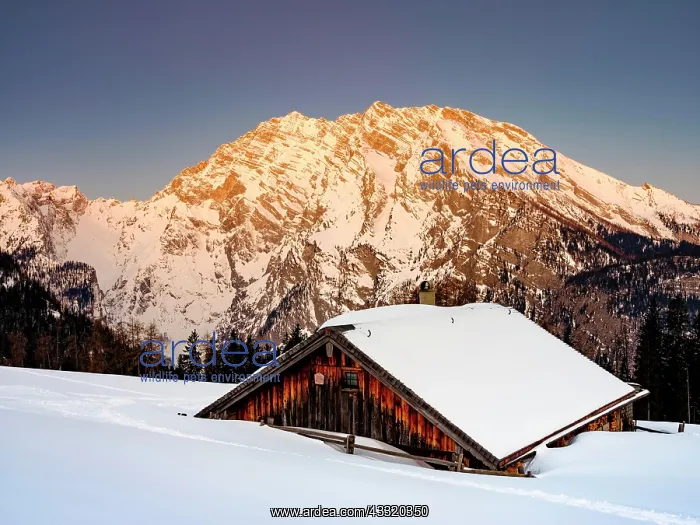 : Snowy Priesbergalm in front of Watzmann east face : Snowy Priesbergalm in front of Watzmann east face