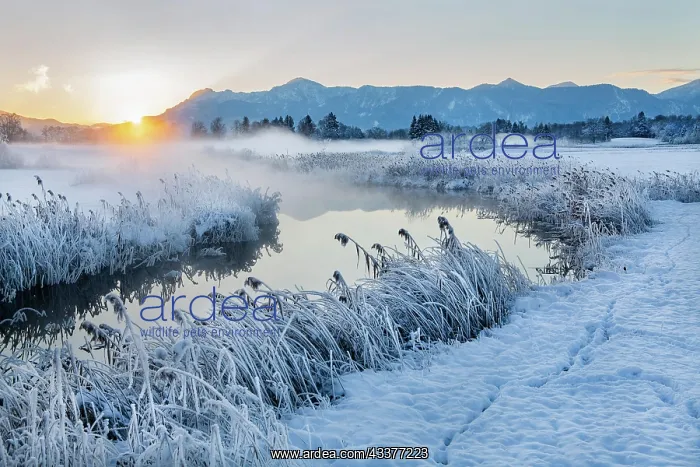 : Snowy winter landscape with the Uffinger Ach at : Snowy winter landscape with the Uffinger Ach at