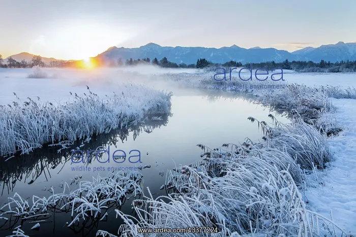 : Snowy winter landscape with the Uffinger Ach at : Snowy winter landscape with the Uffinger Ach at