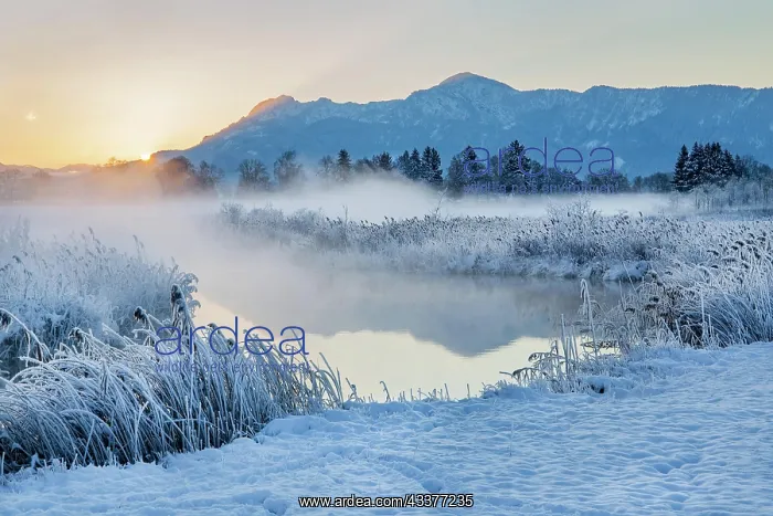 : Snowy winter landscape with the Uffinger Ach at : Snowy winter landscape with the Uffinger Ach at