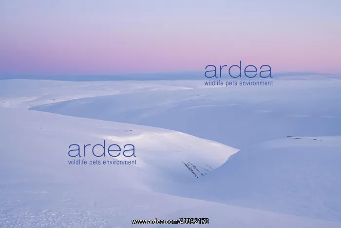 : Snowy wintery mountain landscape, Batsfjord, B tsfjord : Snowy wintery mountain landscape, Batsfjord, B tsfjord