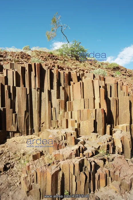 : The so-called organ pipes, basaltic rock formations : The so-called organ pipes, basaltic rock formations