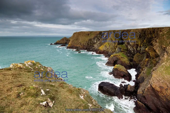  : Soapy Cove