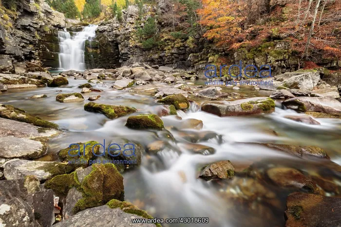 : Soaso waterfall in Ordesa valley : Soaso waterfall in Ordesa valley