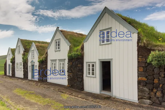  : Sod house settlement Grenjadarstadur in Northern