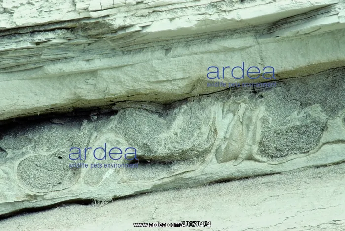 : Soft sediment deformation : Soft sediment deformation