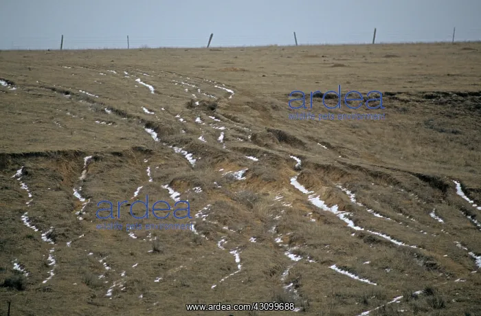 : Soil Erosion on KS Pasture Slope : Soil Erosion on KS Pasture Slope