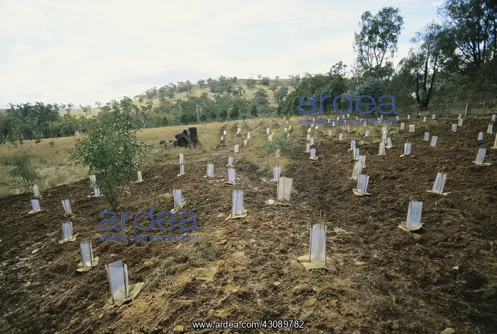 : Soil Erosion Prevention : Soil Erosion Prevention