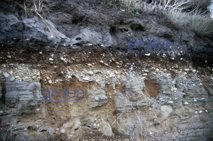  : Soil Profile