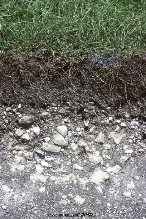 : Soil profile : Soil profile