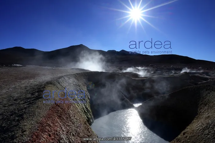 : Sol de Ma&, x61ba1;, the highest geothermal field : Sol de Ma&, x61ba1;, the highest geothermal field