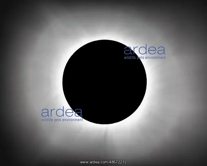 : Solar eclipse : Solar eclipse