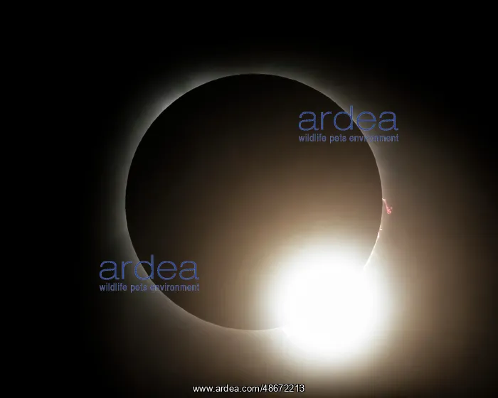 : Solar eclipse, totality, diamond ring : Solar eclipse, totality, diamond ring
