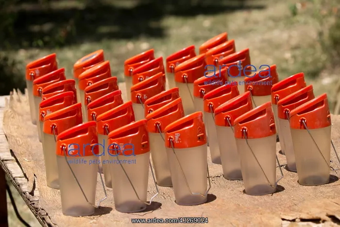 : Many solar lights on table charging in sunlight : Many solar lights on table charging in sunlight