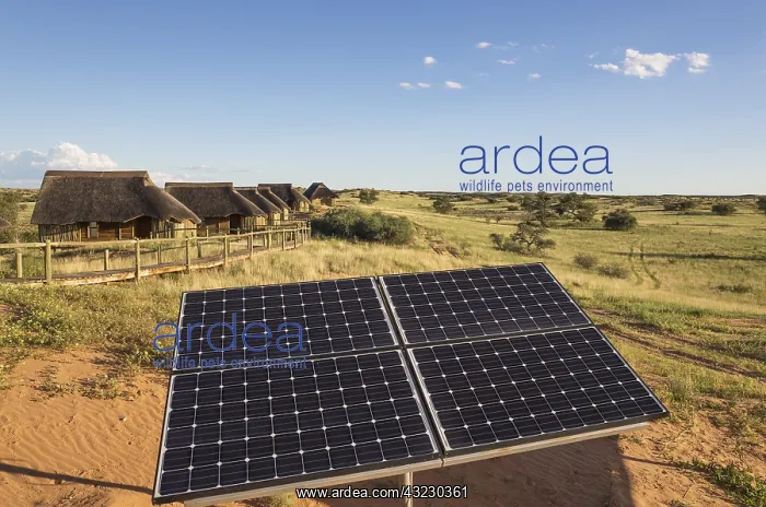 : Solar panel and the chalets of of the Rooiputs Lodge : Solar panel and the chalets of of the Rooiputs Lodge