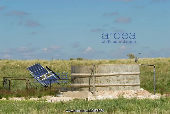  : Solar panel for powering water pump at waterhole