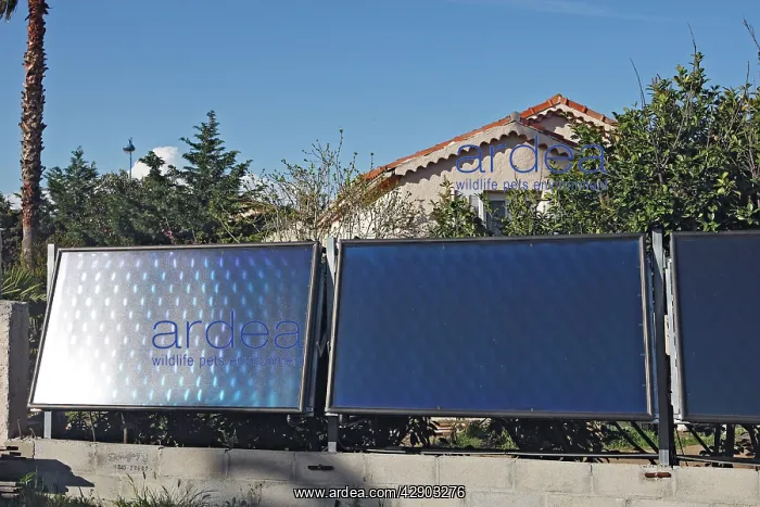 : Solar panels : Solar panels