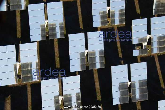 : Solar Panels : Solar Panels