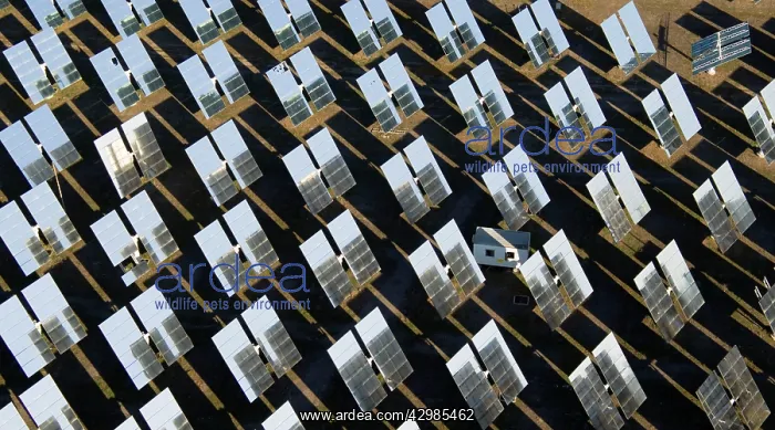 : Solar Panels : Solar Panels