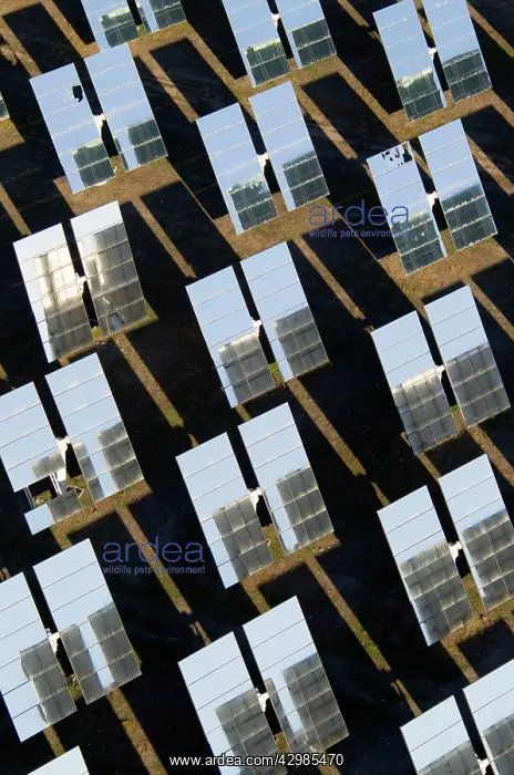 : Solar Panels : Solar Panels