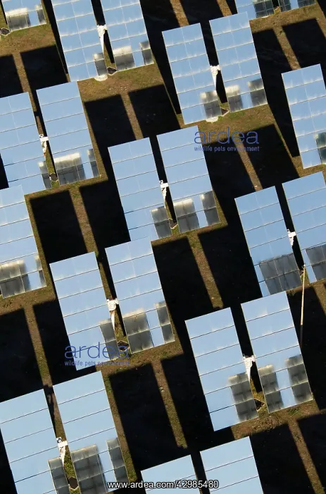 : Solar Panels : Solar Panels
