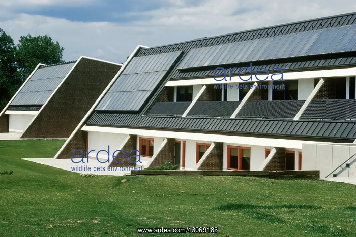 : Solar Panels : Solar Panels