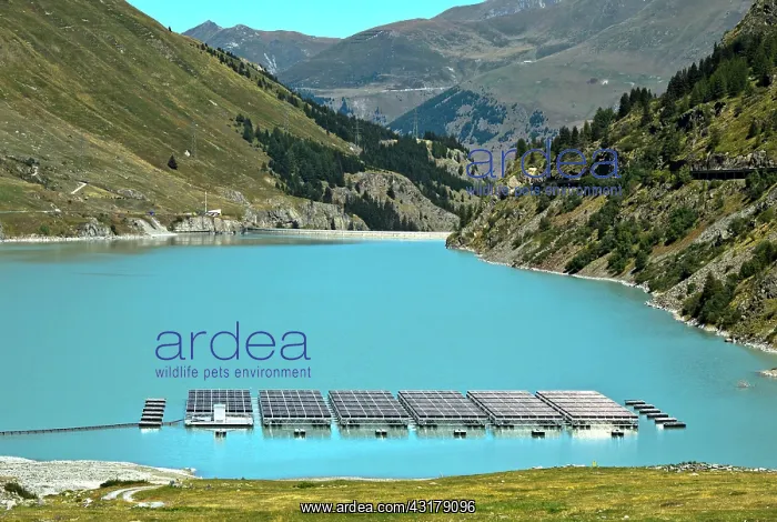 : Solar panels floating on the mountain lake Lac des : Solar panels floating on the mountain lake Lac des