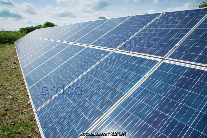 : Solar panels to generate electricity for pig farm : Solar panels to generate electricity for pig farm