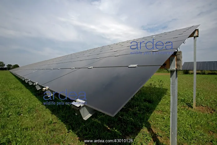 : Solar Photovoltaic PV Panels on Belectric Solar : Solar Photovoltaic PV Panels on Belectric Solar