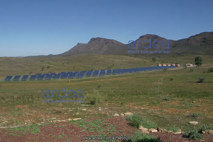 : Solar Power Plant : Solar Power Plant