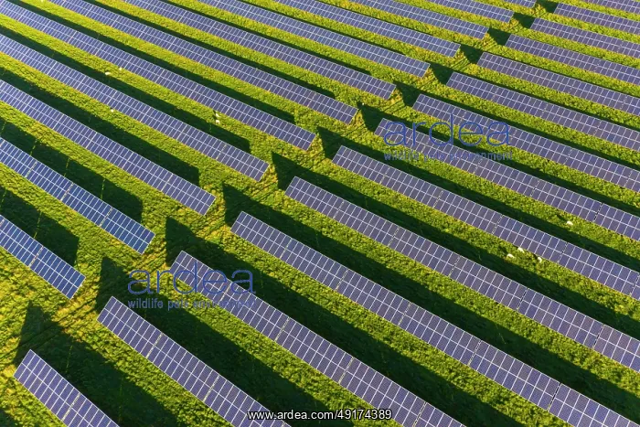 : Solar power plant : Solar power plant