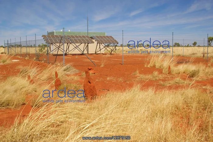 : solar power station - a typical power station fed : solar power station - a typical power station fed