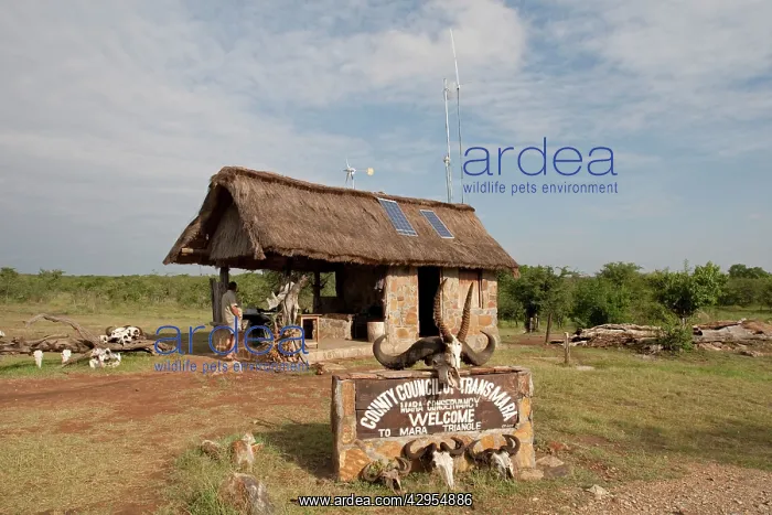 : Solar PV Panels & Wind Turbine - on thatched roof : Solar PV Panels & Wind Turbine - on thatched roof