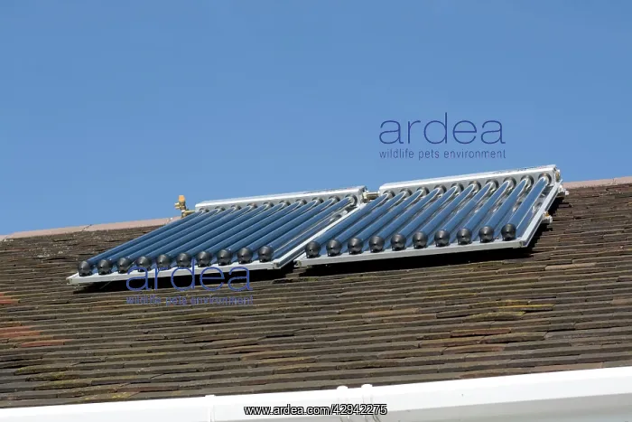 : Solar thermal panels with evacuated tubes on roof : Solar thermal panels with evacuated tubes on roof