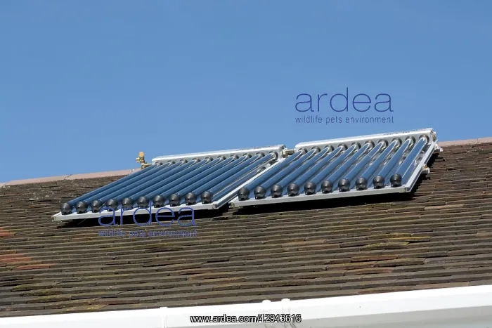 : Solar thermal panels with evacuated tubes on roof : Solar thermal panels with evacuated tubes on roof